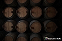 VBS_9748 - La Morra, Barolo, Grinzane Cavour, Pollenzo